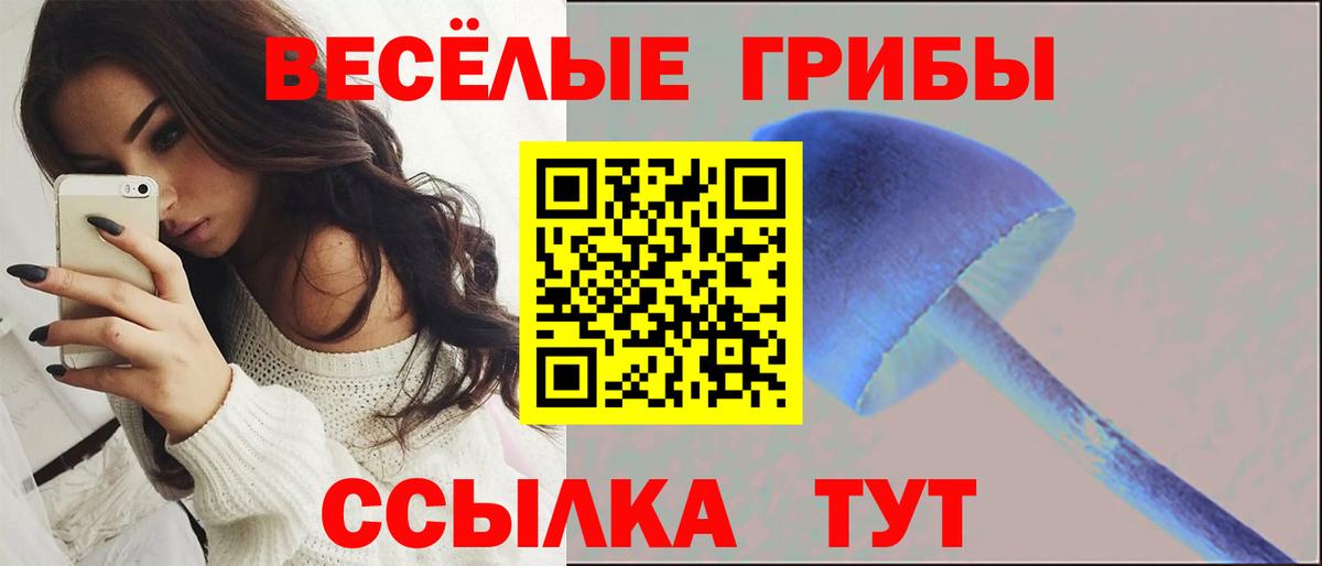 Галлюциногенные грибы мухоморы  Вход с VPN  Галлюциногенные грибы Cubensis  Знаменск 